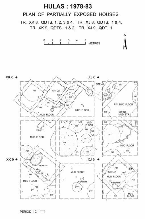 Plan drawing of partially exposed Late Harappan houses at Hulas, showing mud floors, hearths, postholes and refuse pits in a 25-metre grid