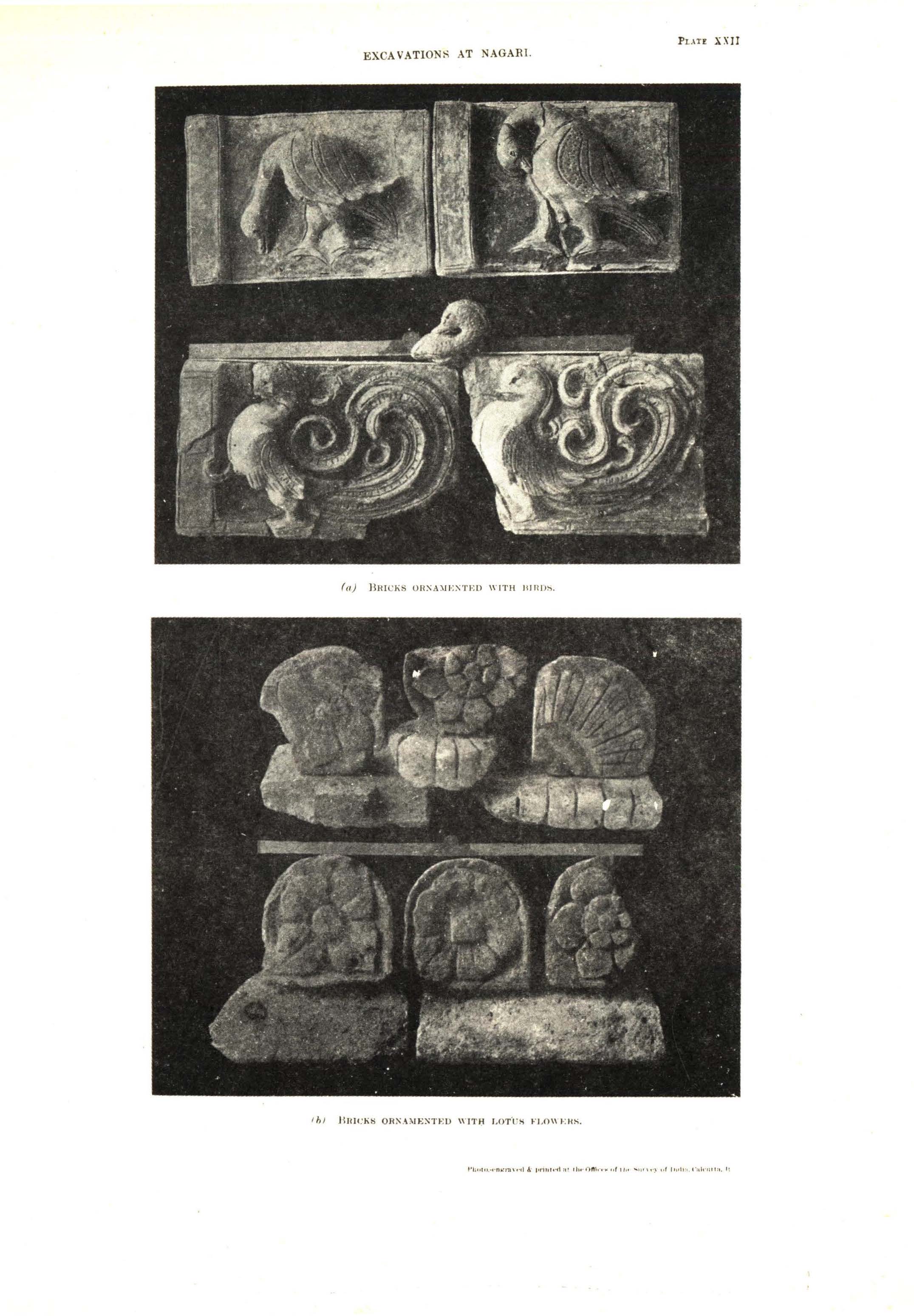 Plate of decorated bricks excavated at Nagari, with bird and lotus motifs